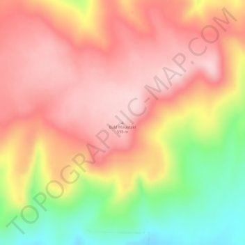 Topografische Karte Bald Mountain, Höhe, Relief