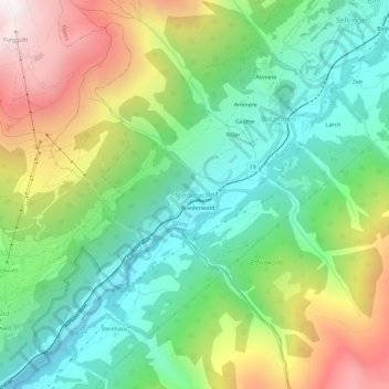 Topografische Karte Niederwald, Höhe, Relief