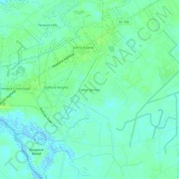 Topografische Karte Cedar Springs, Höhe, Relief