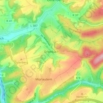 Topografische Karte Erlenbach, Höhe, Relief