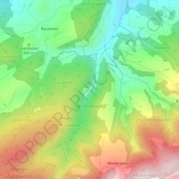 Topografische Karte Wildeneybad, Höhe, Relief