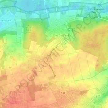 Topografische Karte Dollenkamp, Höhe, Relief