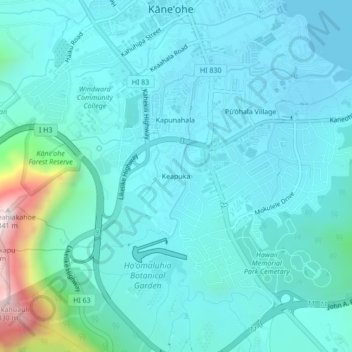 Topografische Karte Keapuka, Höhe, Relief