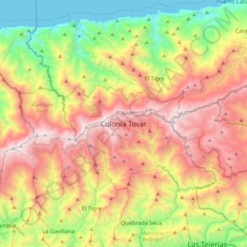 Topografische Karte Colonia Tovar, Höhe, Relief