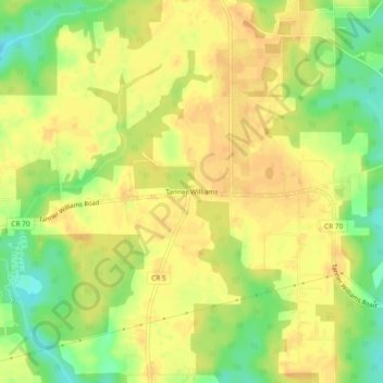 Topografische Karte Tanner Williams, Höhe, Relief