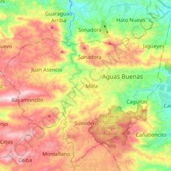 Topografische Karte Aguas Buenas, Höhe, Relief